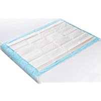 Documentos Médicos Sap Plus 70x175cm Bases Desechables Cambio de Colchón Medi-Inn (90 Pieza)